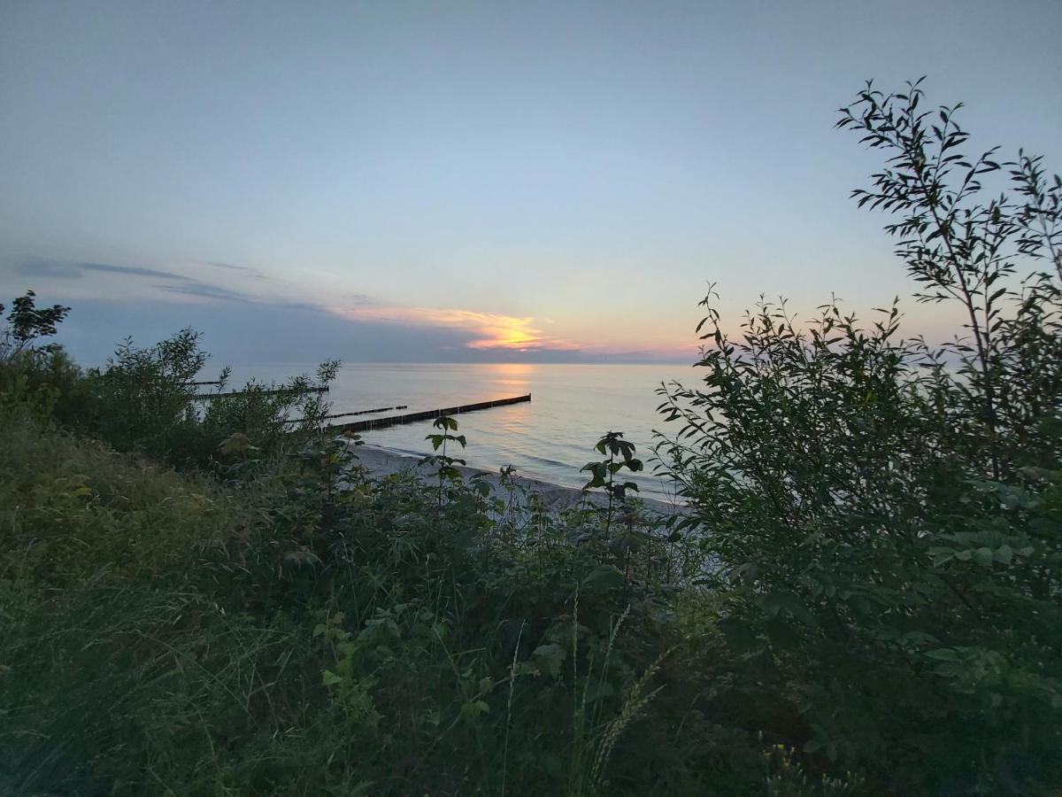 Willa Wieniotowo Apartamenty Przy Lesie I Plazy Ap Am Wald Und Strand Ustronie Morskie Exterior foto